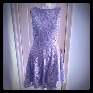 Speechless Lace Skater Dress